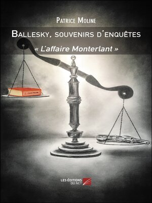 cover image of Ballesky, souvenirs d'enquêtes